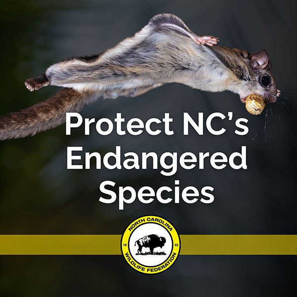 Protect NC's Endangered Species