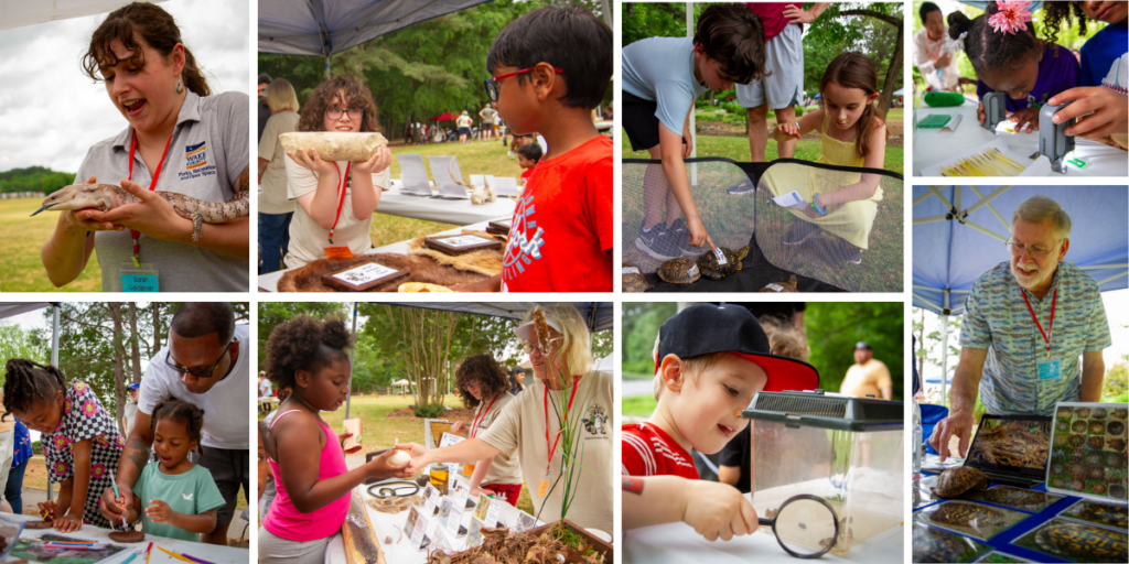 May 4, South Wake Conservationists Kids in Nature Day: NCWF’s South Wake Conservationists hosted their third annual Kids in Nature Day at Lake Benson Park in Garner with more hands-on exhibits and activities than ever before. Ranger Rick was there to greet them, as kids went off down the trails to have fun and learn about everything from reptiles, amphibians, bears, wolves, birds, bees and other pollinators, fish, arachnids, crustaceans, and macroinvertebrates to native plants, trees, and soil. 