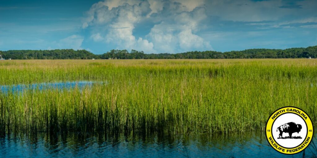 N.C. Wildlife Federation Challenges Repeal of Clean Water Act Protections in Federal Court