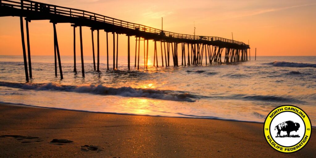 NC Division of Marine Fisheries Fiscal Analysis of NCWF Petition is Fatally Flawed and Biased