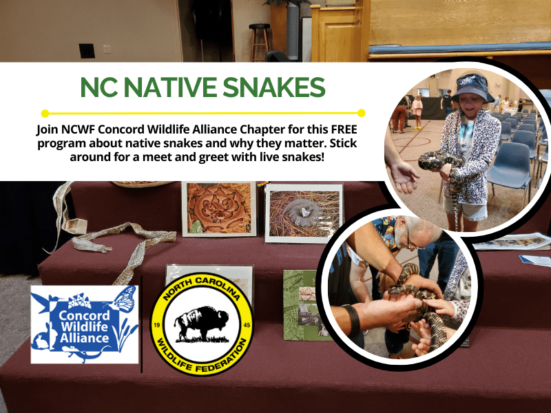 NCNativeSnakes NCNativeSnakes