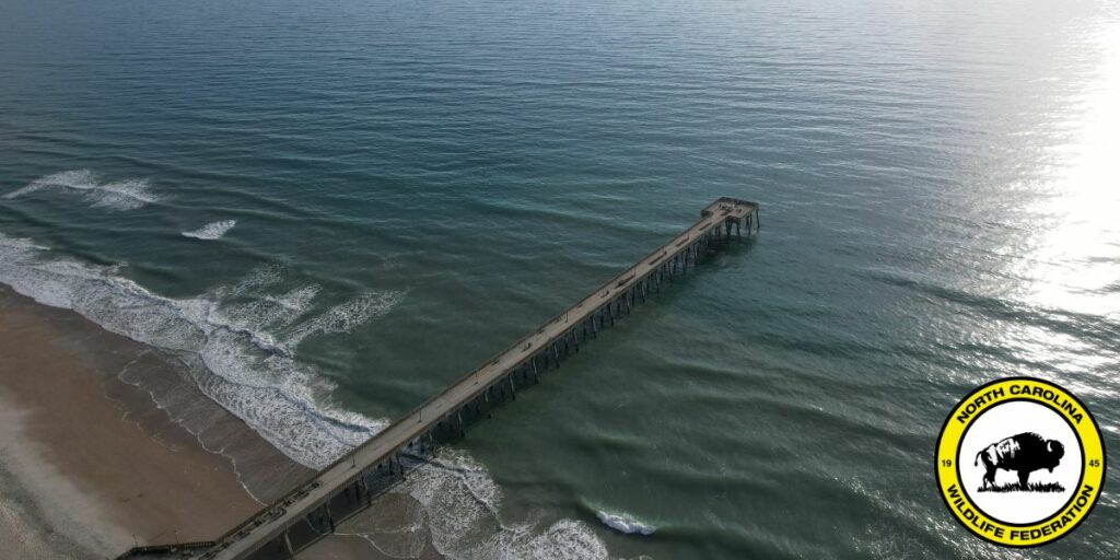 NCWF Adopts Two Resolutions to Protect Marine Resources