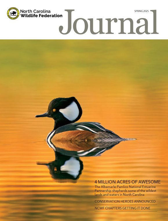 NCWF Journal Spring 2025 NCWF Journal Spring 2025
