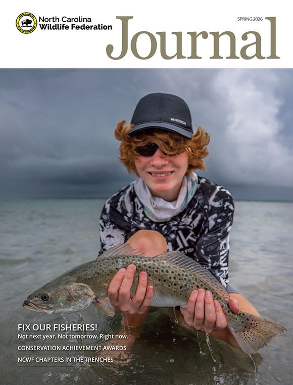 NCWF Journal Spring 2026
