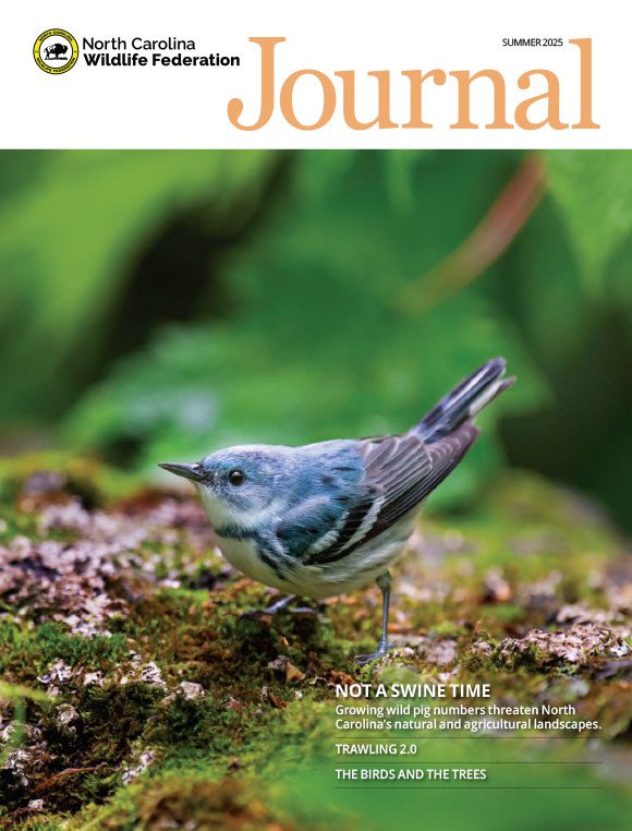 NCWF Journal Summer 2025