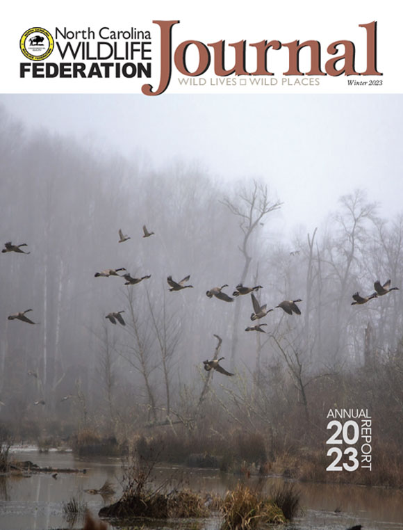 NCWF Journal Winter 2023 - Annual Report