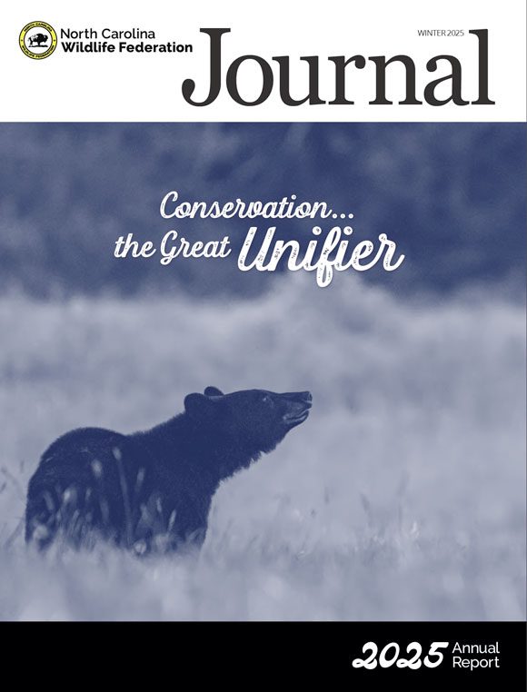 NCWF Journal Winter 2025 - Annual Report