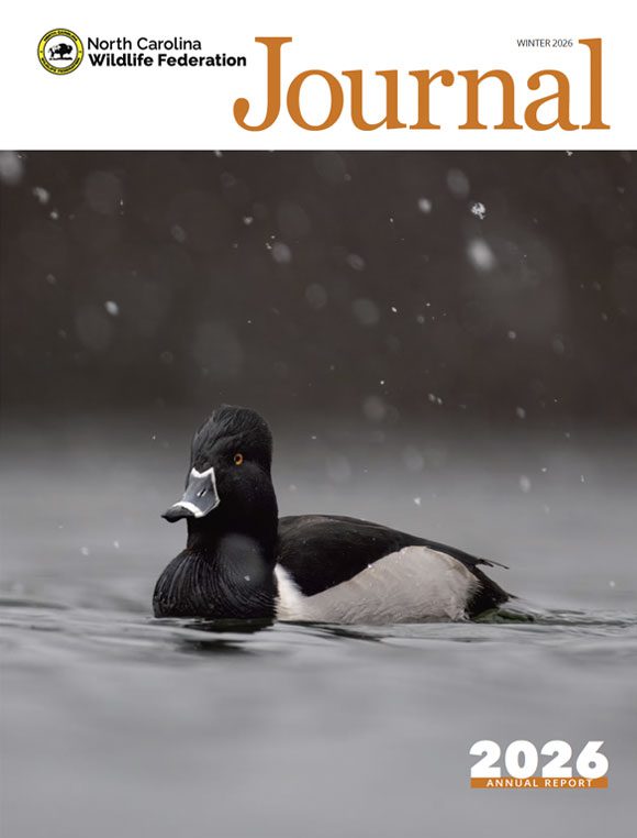 NCWF Journal Winter 2026 - Annual Report