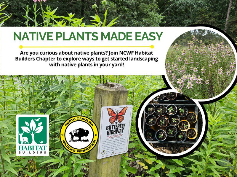 NativePlantsMadeEasy