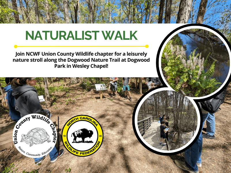 NaturalistWalk
