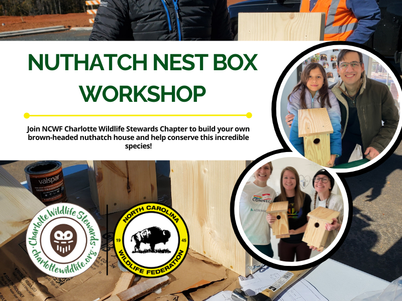 NuthatchNestboxWorkshop