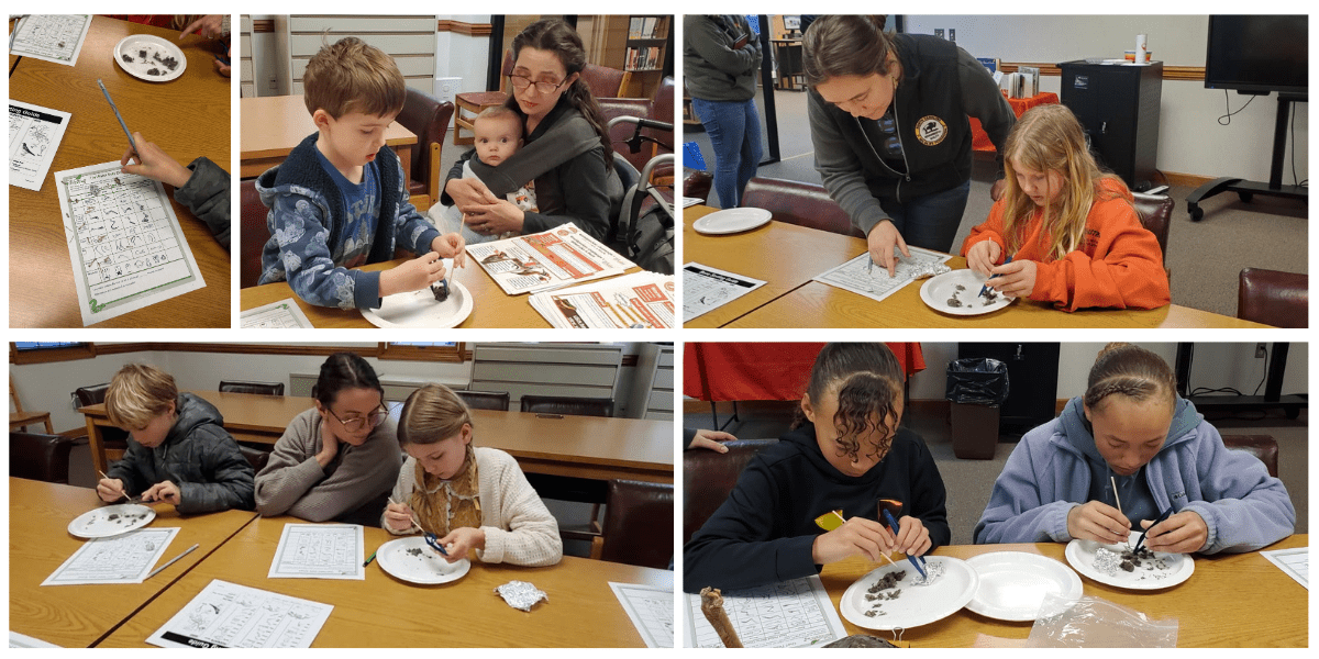 Tracks, Feathers, and Fun: Exploring Winter Wildlife with ecoEXPLORE ...
