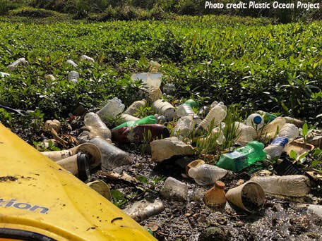 Plastic waste and bottles washed into a pile in a wetland.
