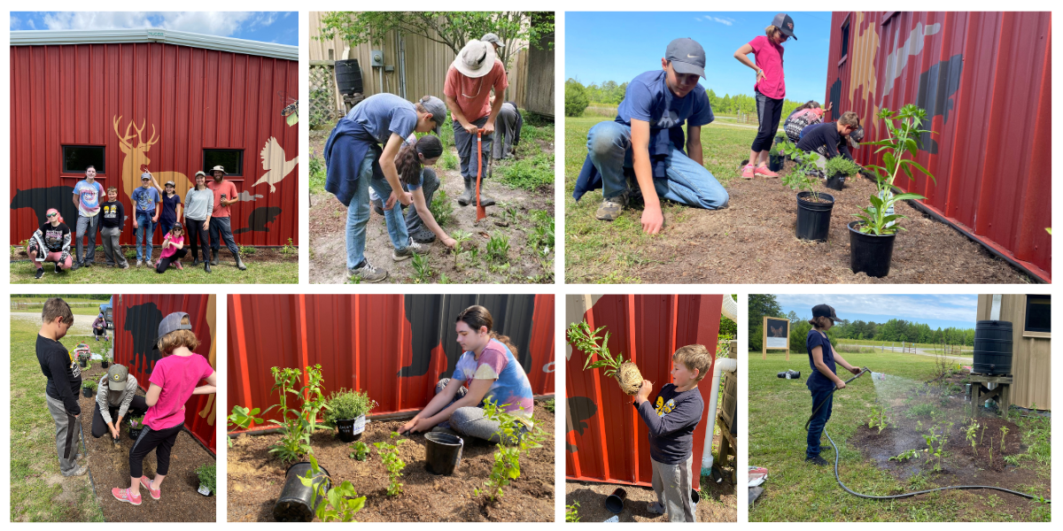 Volunteers working in the pollinator garden at the Red Wolf Center.
