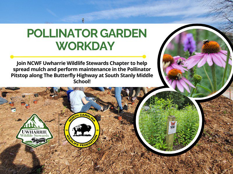 PollinatorGardenWorkday