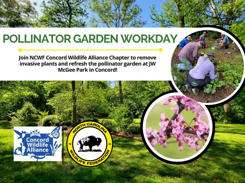 PollinatorGardenWorkdayFinal PollinatorGardenWorkdayFinal