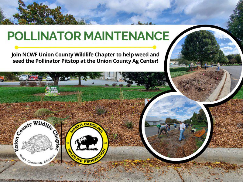 PollinatorMaintenance