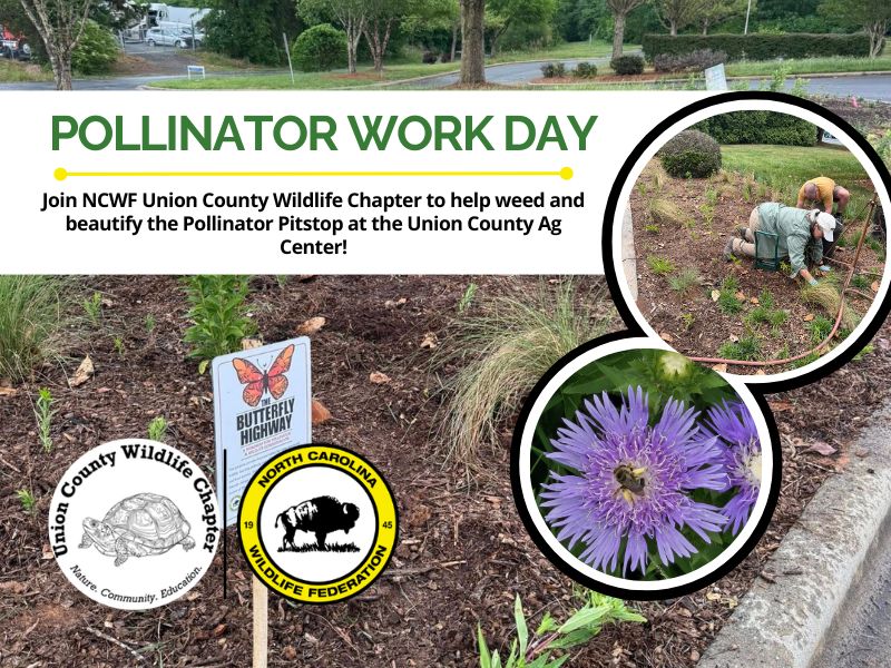 PollinatorWorkDay