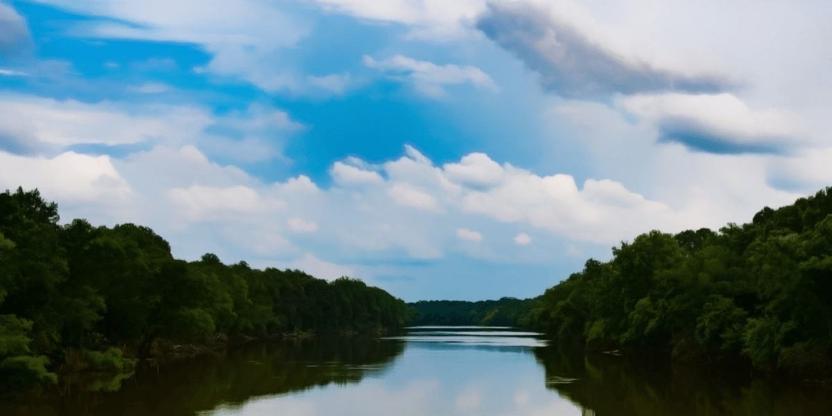 Take a Walk on the Wild Side with NC Wildlife Federation on March 20 at Raven Rock State Park in Lillington.