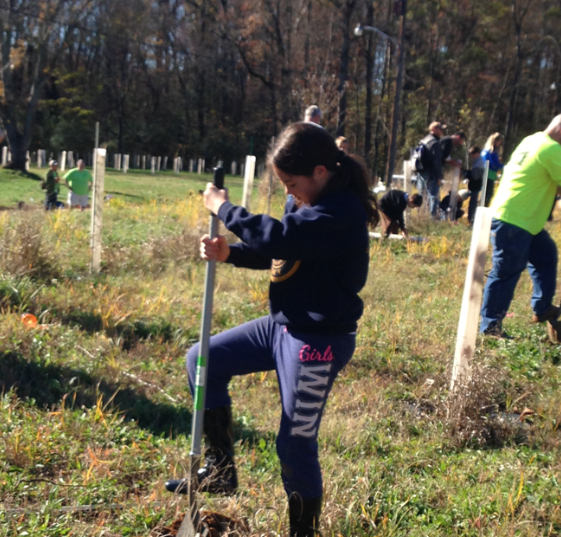 A young girl pushing a shovel in the ground to prepare for tree planting.