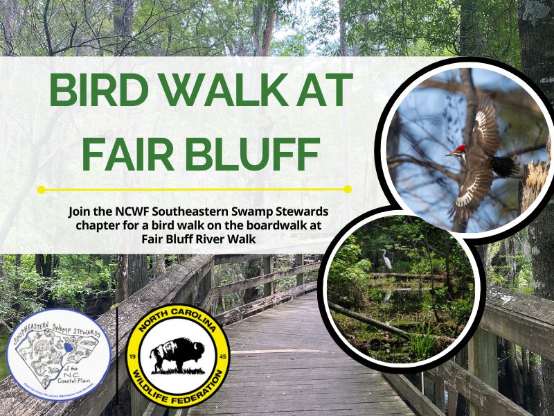 SSSbirdwalkfairbluff SSSbirdwalkfairbluff