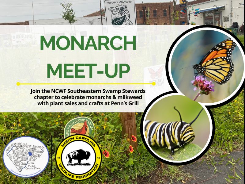 SSSmonarchmeetup