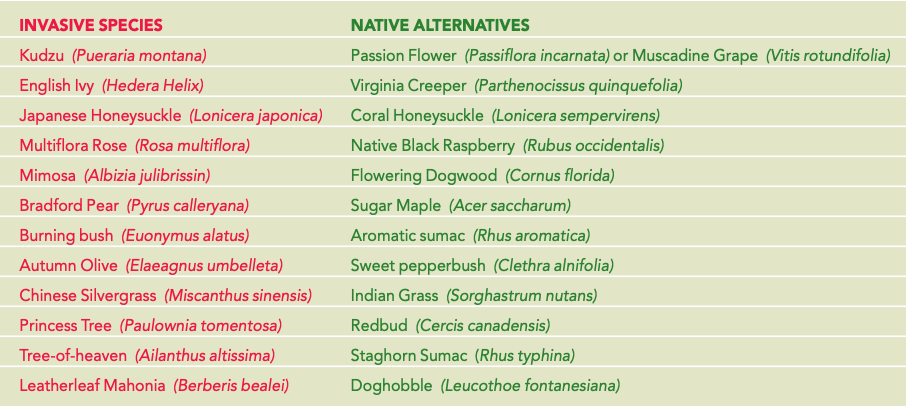 Native alternatives