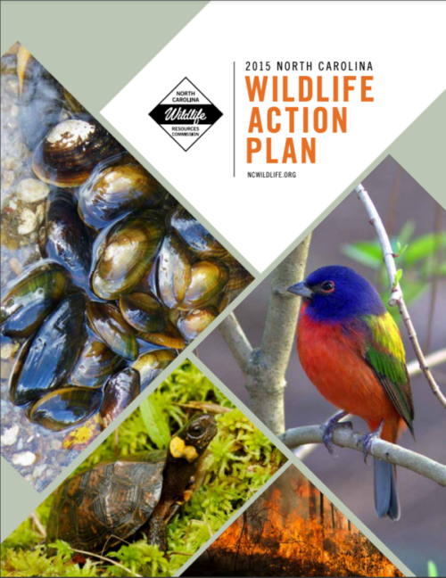 Wildlife Action Plan