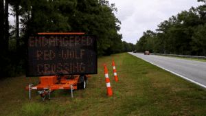 A photo of the Red Wolf crossings sign on Alligator River National Wildlife Refuge - the site of one of the upcoming wildlife crossing installations