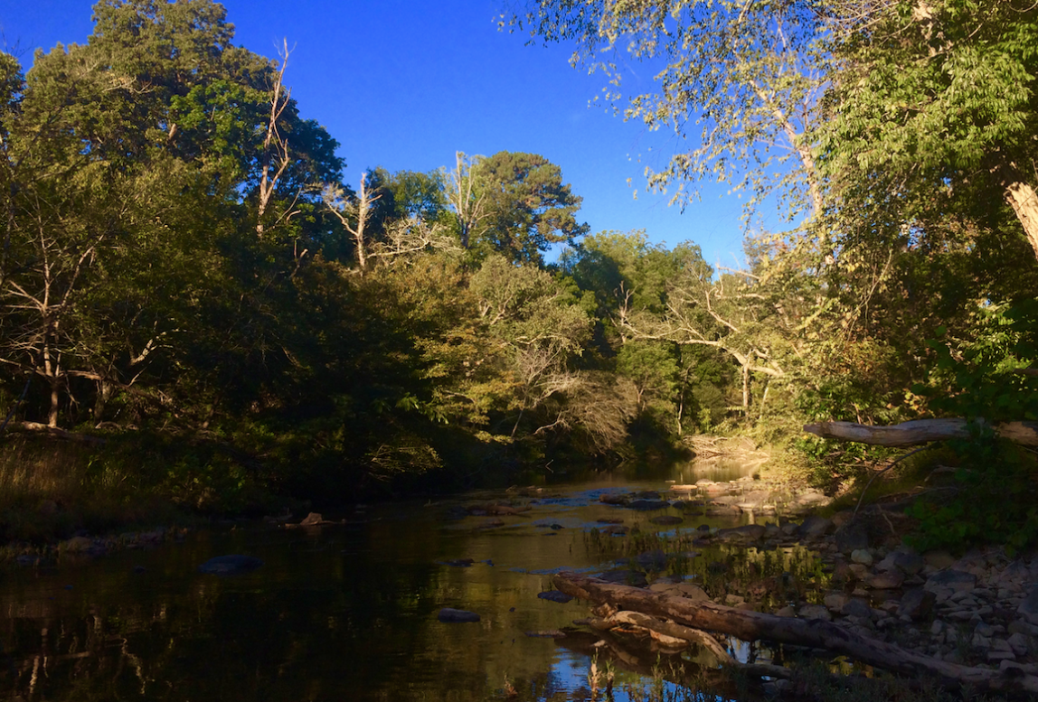 The Eno River