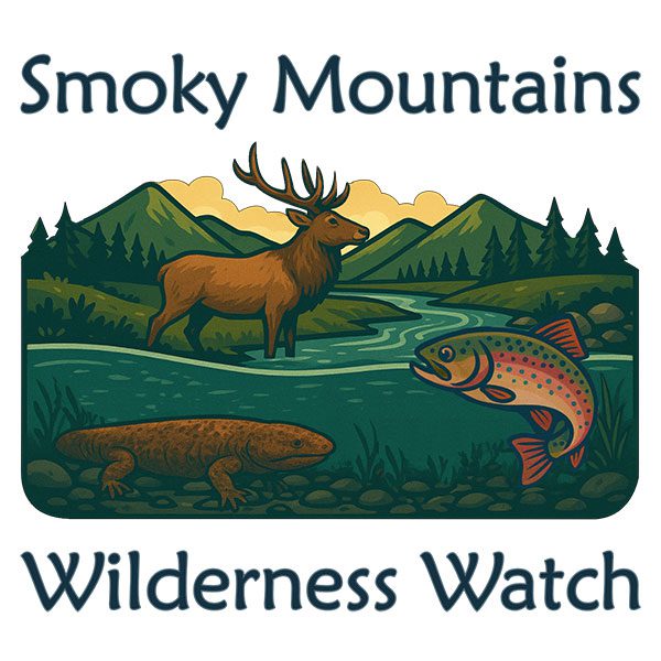 Smoky Mountains Wilderness Watch (Haywood, Jackson, & Swain)