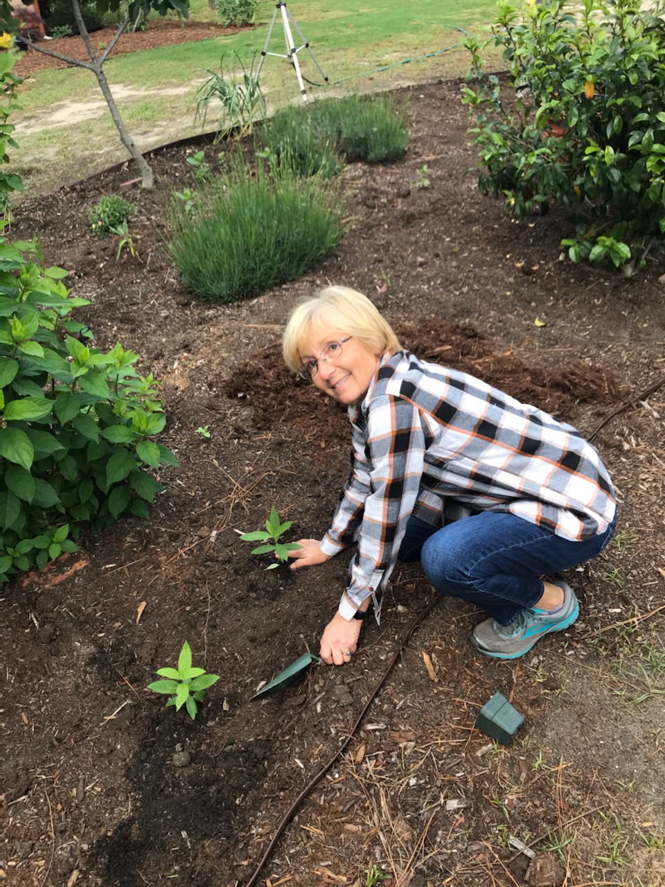 A woman weeding her garden beds.