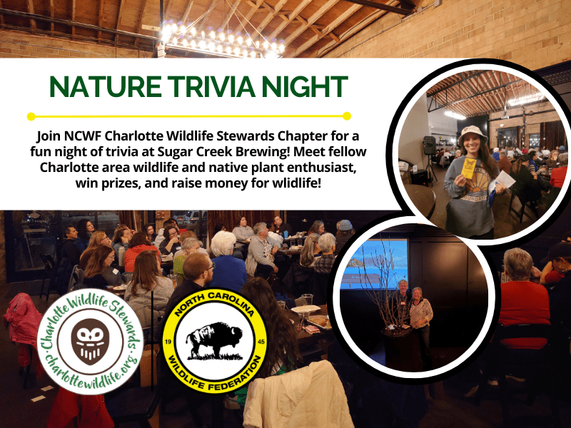 SugarCreekTriviaNight SugarCreekTriviaNight
