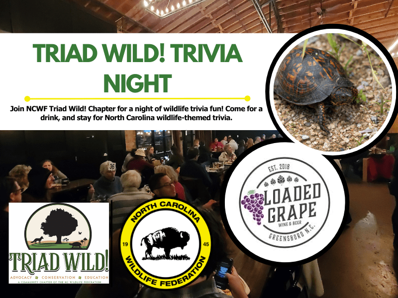 TWtrivia TWtrivia