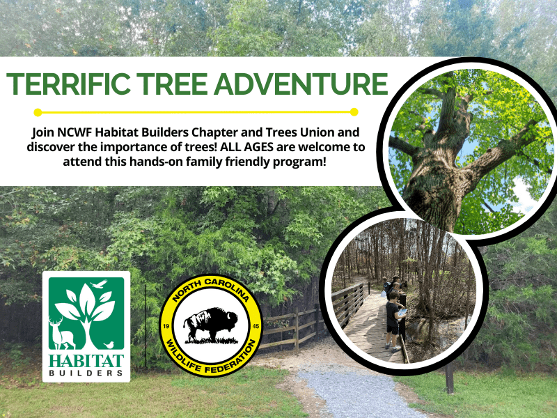 TerrificTreeAdventureFinal TerrificTreeAdventureFinal