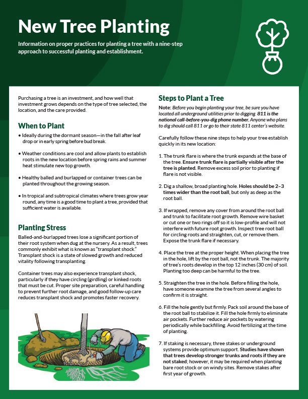 Tree-Planting-and-Care