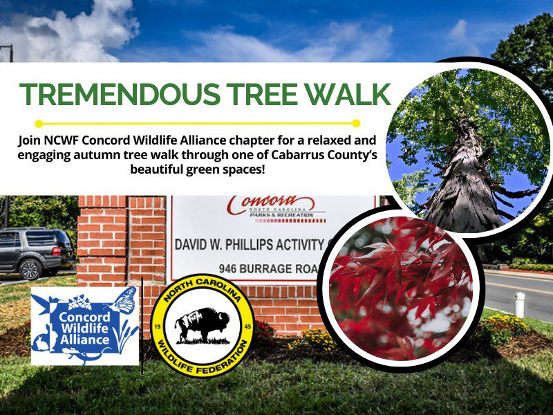 TremendousTreeWalk TremendousTreeWalk