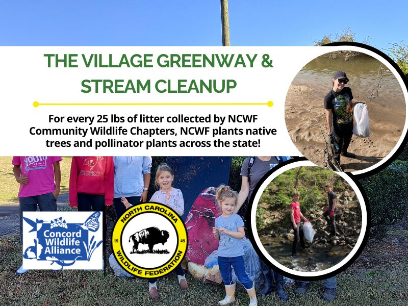VillageGreenwayStreamFinal