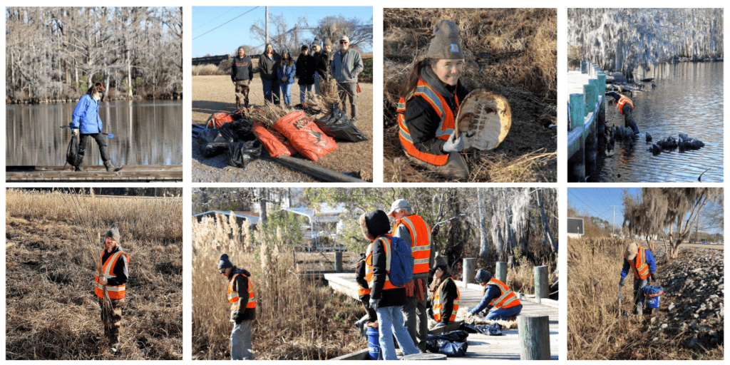 January 12, Pembroke Creek Park Litter Cleanup & Invasive Species Removal: NCWF Wildlife Habitat Stewards of Northeastern NC Chapter hosted a litter cleanup and invasive species removal project at Pembroke Creek Park in Edenton. Volunteers removed over 210 lbs of litter and about 50 lbs of invasive phragmites from crucial wetland habitat. 