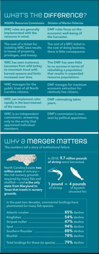 Why a Merger Matters Graphic