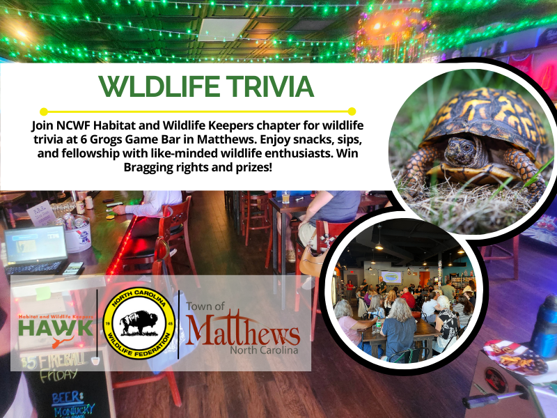 WildlifeTriviaMatthewsFinal WildlifeTriviaMatthewsFinal