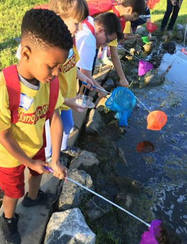 A group of children scooping up water in nets.