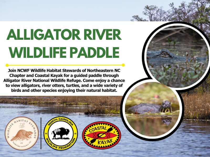 alligatorriverpaddle