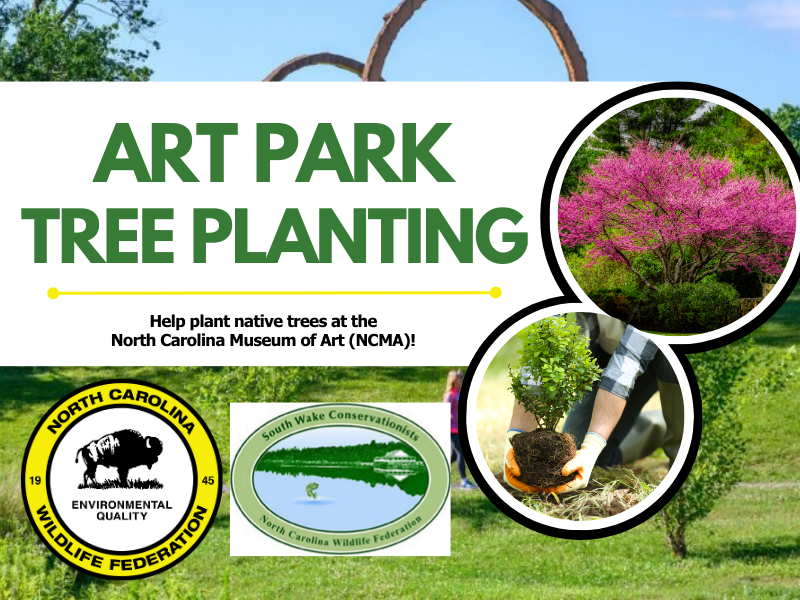 art-park-tree-planting