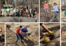March 7, New River State Park Planting: High Country Wild in partnership with New River Conservancy, New River State Park, and Keep Ashe Beautiful hosted a workday along a tributary feeding into the New River. Over 20 volunteers planted hundreds of livestakes along with bareroot and potted trees. Species included elderberry, silky willow, silky dogwood, sycamore, red maple, beech, hemlock, white oak, and more! These native species will help shade the water, improve water quality, stabilize the soil, and provide habitat for the wildlife that call New River State Park home. It was a warm and fun day and all the volunteers were treated to a hot dog lunch