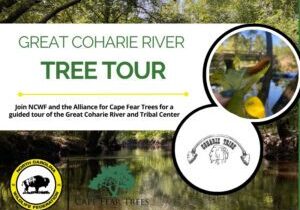 ACFTCoharieRiver