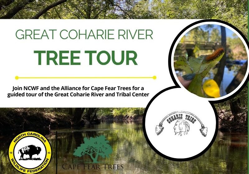 ACFTCoharieRiver