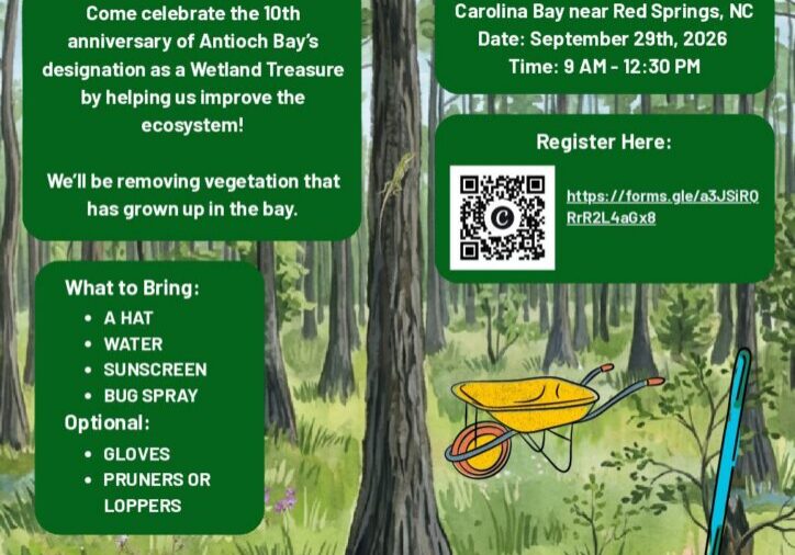Antioch Bay Workday Flyer