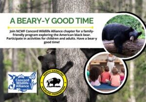 BearYgoodTime BearYgoodTime