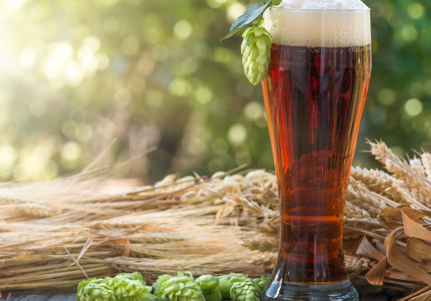 A tall glass of beer with a hops flower draped over the side and hops flowers, stems and seeds laying beside it on the table.